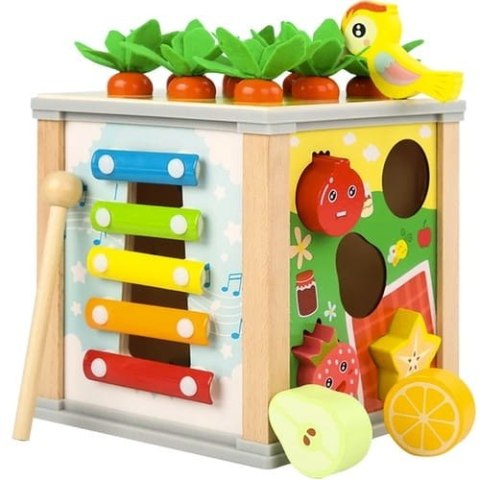 Kostka edukacyjna drewniana- sorter Kruzzel 22566 Kostka edukacyjna drewniana- sorter Kruzzel 22566